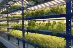 AI+聪慧农业的产正在持续进化