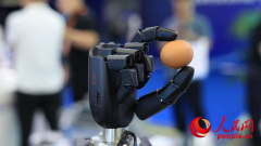 凯乐生物是一家客岁才成立的司