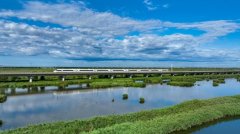 为成长注入新动能