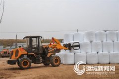 玉米秸秆破坏长度节制正在左